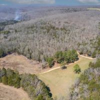 Highly Managed Turn Key Hunting Ranch For Sale In Southern MO images 4