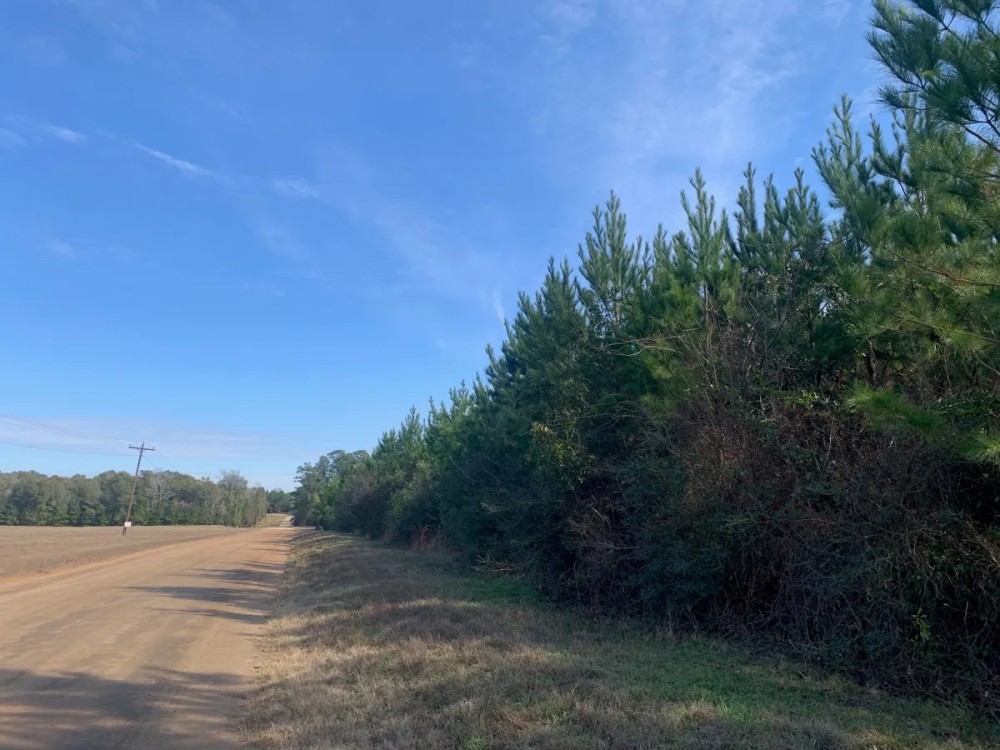42 Acres T-1 Nursery Road featured image