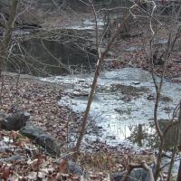 Add Stafford Rd images 4