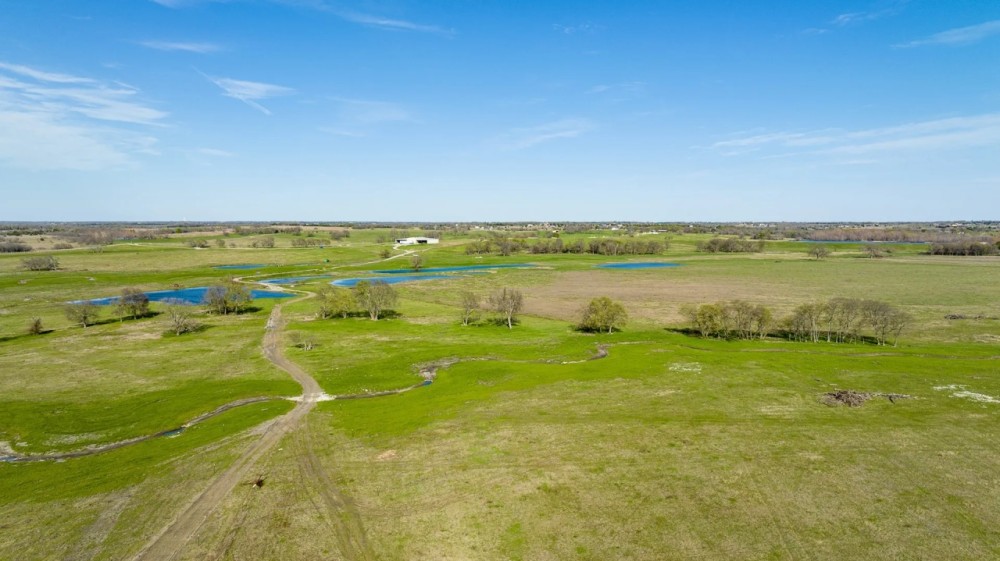 Land for Sale in Farmersville TX featured image