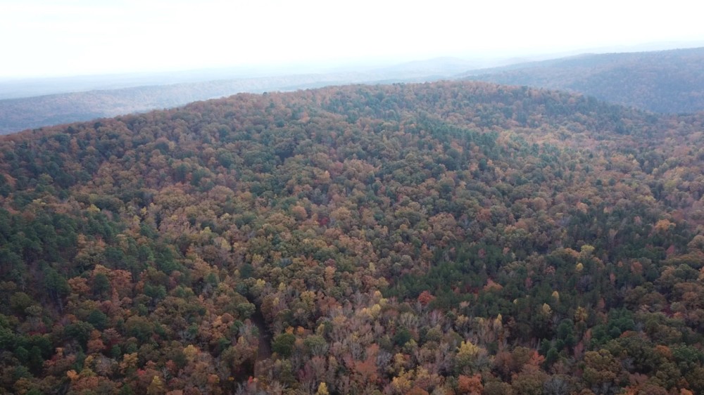 Flintridge 40 - Upson County featured image