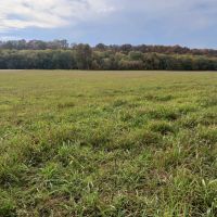 Farmland for Sale in Pulaski County MO images 3