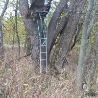 Farmland for Sale in Pulaski County MO images 4