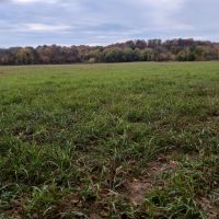 Farmland for Sale in Pulaski County MO images 5