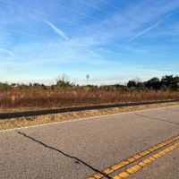 26 - Acre Dream Homesite in Jackson County FL images 2