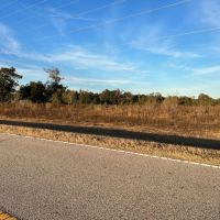 26 - Acre Dream Homesite in Jackson County FL images 3