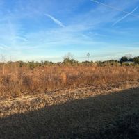 26 - Acre Dream Homesite in Jackson County FL images 4