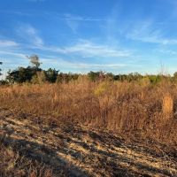 26 - Acre Dream Homesite in Jackson County FL images 5
