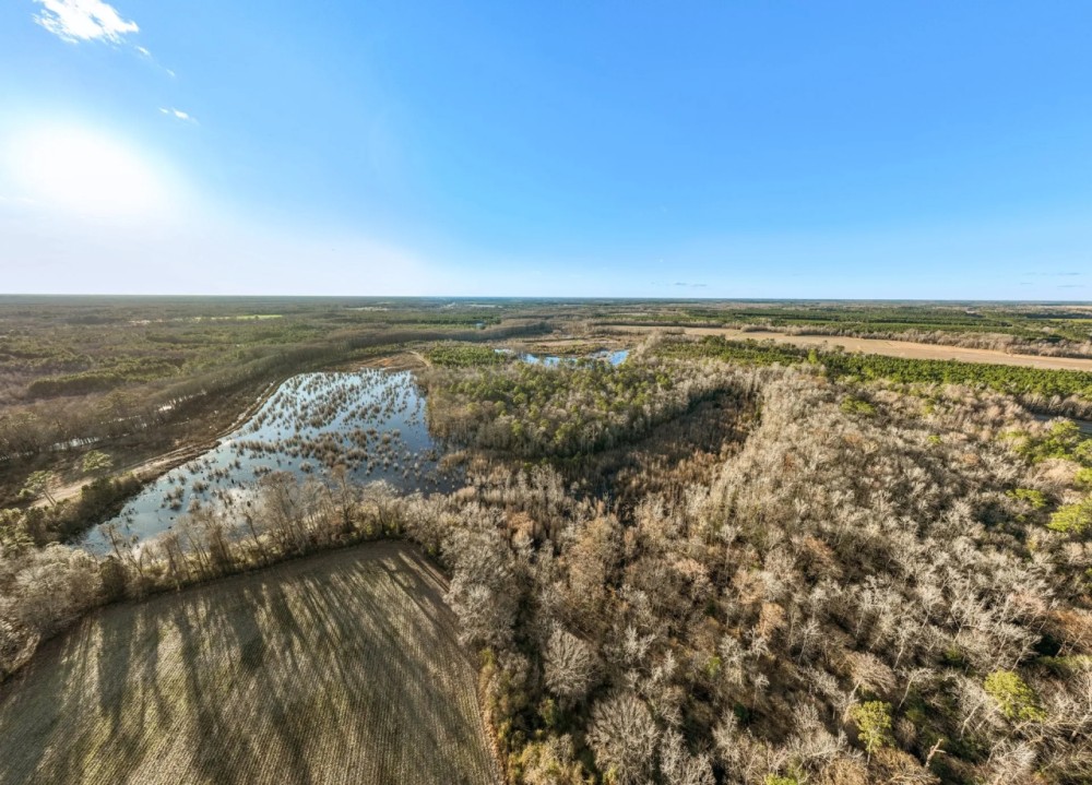 Beaufort County NC Ultimate Hunting Estate Ducks Bucks featured image