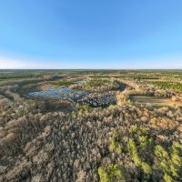 Beaufort County NC Ultimate Hunting Estate Ducks Bucks images 2