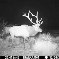Sevilleta Hills Elk Ranch images 3