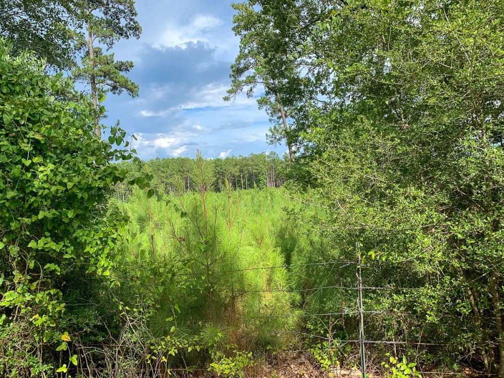 12 Acres US Hwy 59 N featured image