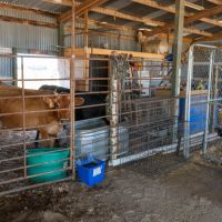 1.5 Acres with Home images 4