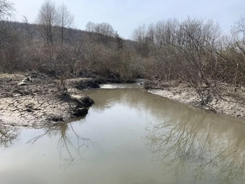 Building Lot with Stream in Frewsburg NY Ivory Road featured image