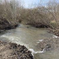 Building Lot with Stream in Frewsburg NY Ivory Road images 3