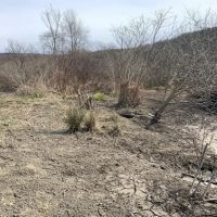 Building Lot with Stream in Frewsburg NY Ivory Road images 4