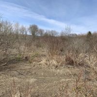 Building Lot with Stream in Frewsburg NY Ivory Road images 5