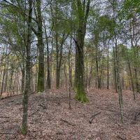 20 - Acres in Shorter AL images 2
