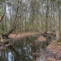 20 - Acres in Shorter AL images 4