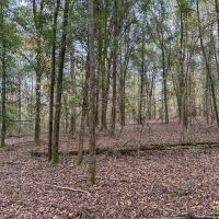 20 - Acres in Shorter AL images 5
