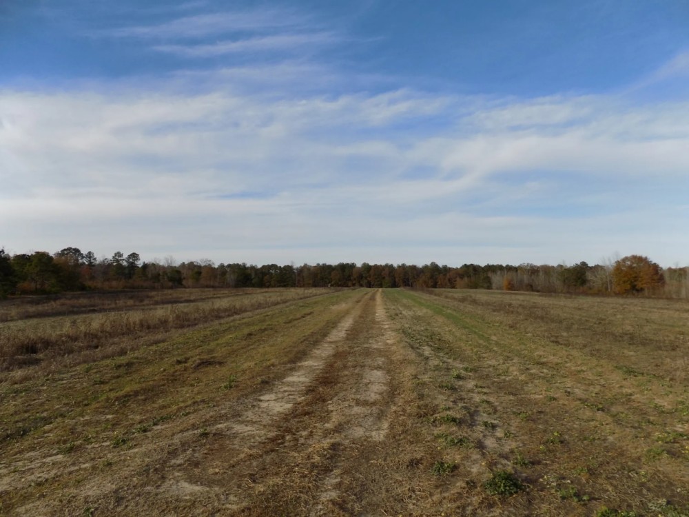 Harris County Georgia featured image
