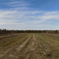 Harris County Georgia