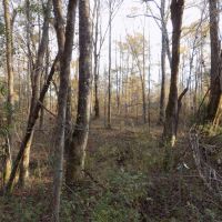 Harris County Georgia images 5