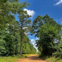 43 Acres T-7 Kelley Road