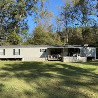Turnkey 123 Acres Hunting Land Camps for Sale Clinton LA images 3