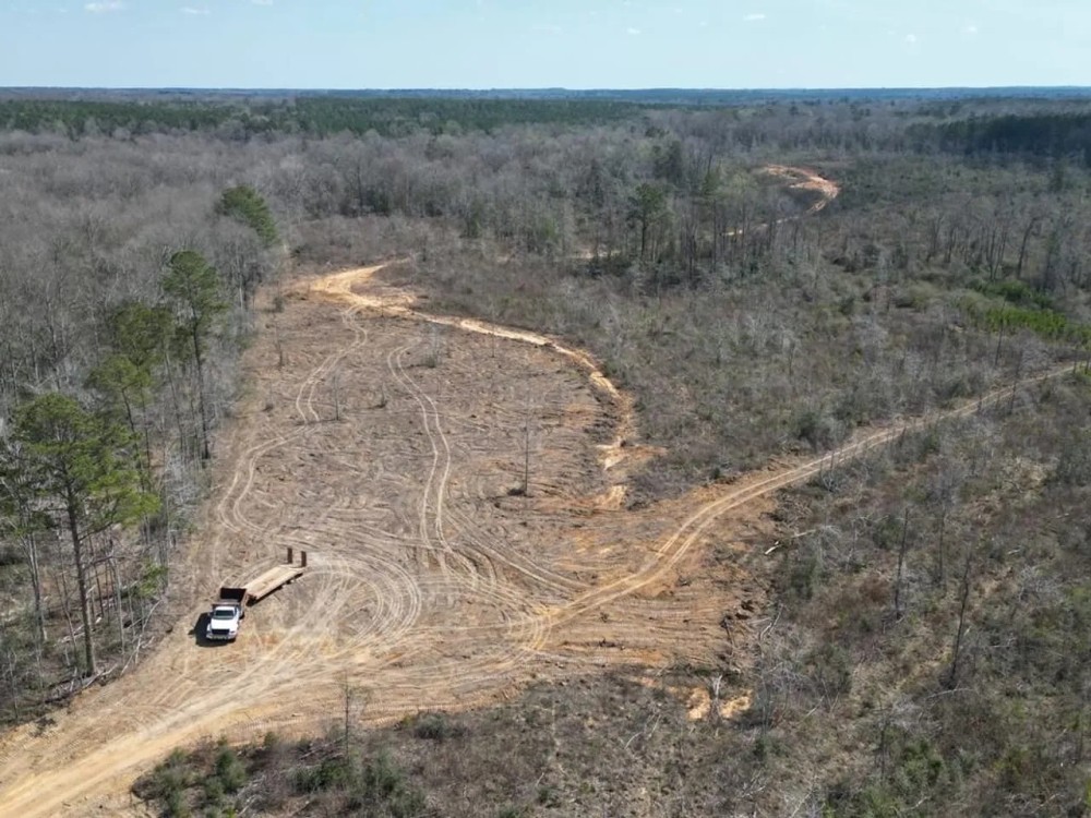 60 Acres Near Osyka MS Pike County for Hunting Home featured image
