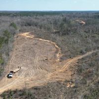 60 Acres Near Osyka MS Pike County for Hunting Home