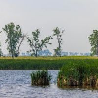Sargent county 160 acres images 4