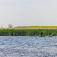 Sargent county 160 acres images 5