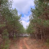 Heard County 76 - acres images 3