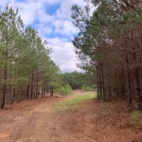 Heard County 76 - acres images 4