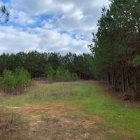 Heard County 76 - acres images 5