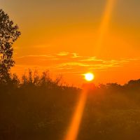 Build Your Dream Home in Gatesville 55 Acres of Tranquil Land Close to Waco Austin and Dallas images 3