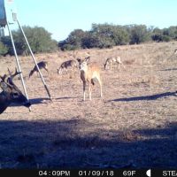 1725 Acre Ranch with river bottom and prairie mix