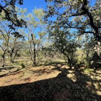 100 - Acres Taylor County images 2