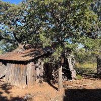100 - Acres Taylor County images 3