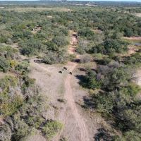 100 - Acres Taylor County images 4