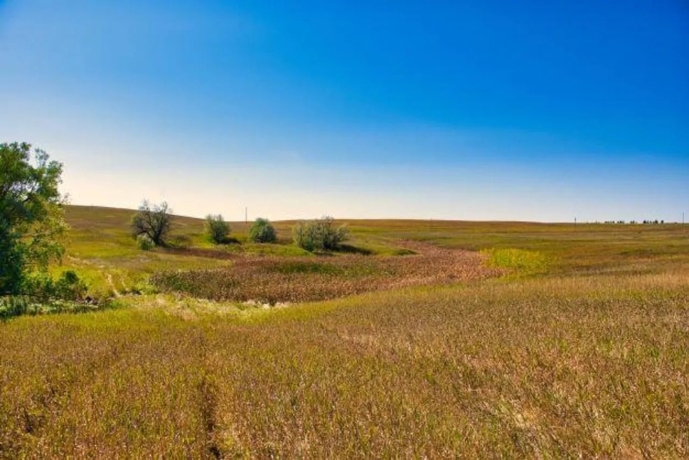 Hettinger Hunting Haven featured image