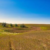 Hettinger Hunting Haven