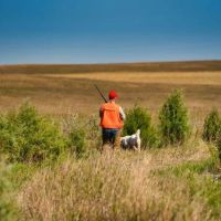 Hettinger Hunting Haven images 5
