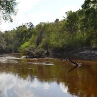 Alapaha River Hunting and Recreation Tract