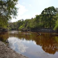 Alapaha River Hunting and Recreation Tract images 2