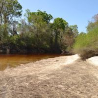 Alapaha River Hunting and Recreation Tract images 3