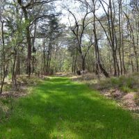 Alapaha River Hunting and Recreation Tract images 4