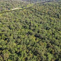 Hunting Land in The Ozarks images 3