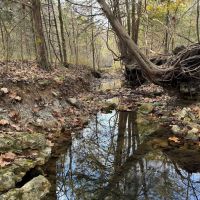 Hunting Land in The Ozarks images 4